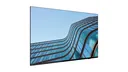Lenovo ThinkVision E55 | 55" Display | HDR10 - Ansicht 2