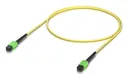 UBIQUITI UACC-OFC-SA-MPMP-1M-10 | MPO Glasfaser 1m | OS2 Singlemode